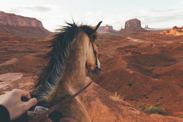 Лошади в горах Эстетика