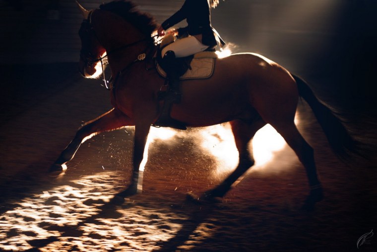 Лошади Эстетика