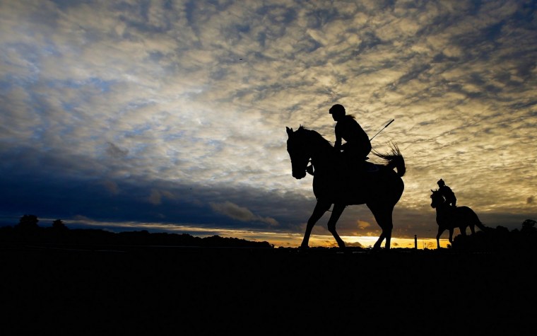 Всадник красиво