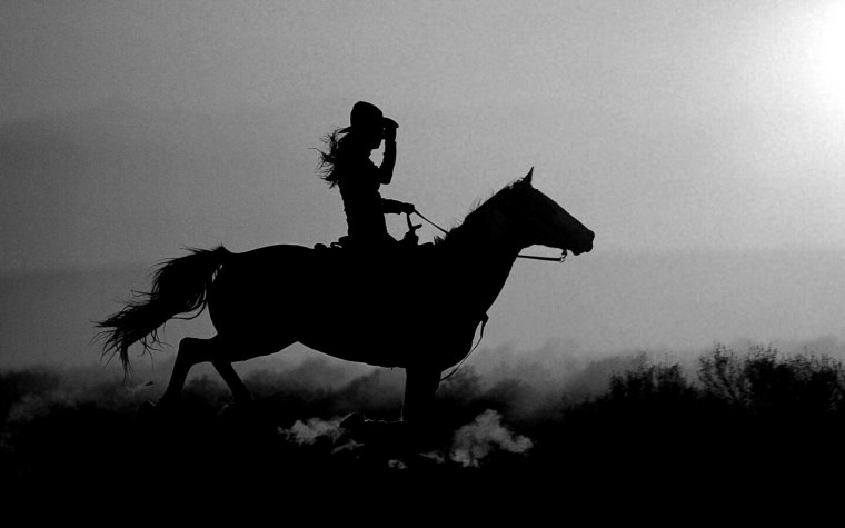 Красивые лошади с всадником