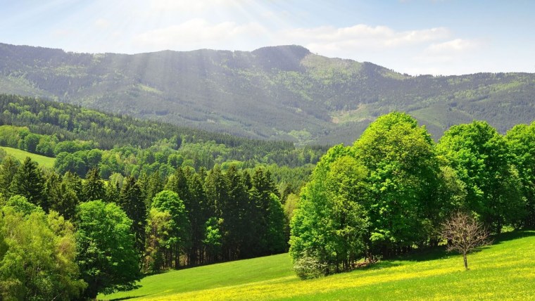 Лето природа