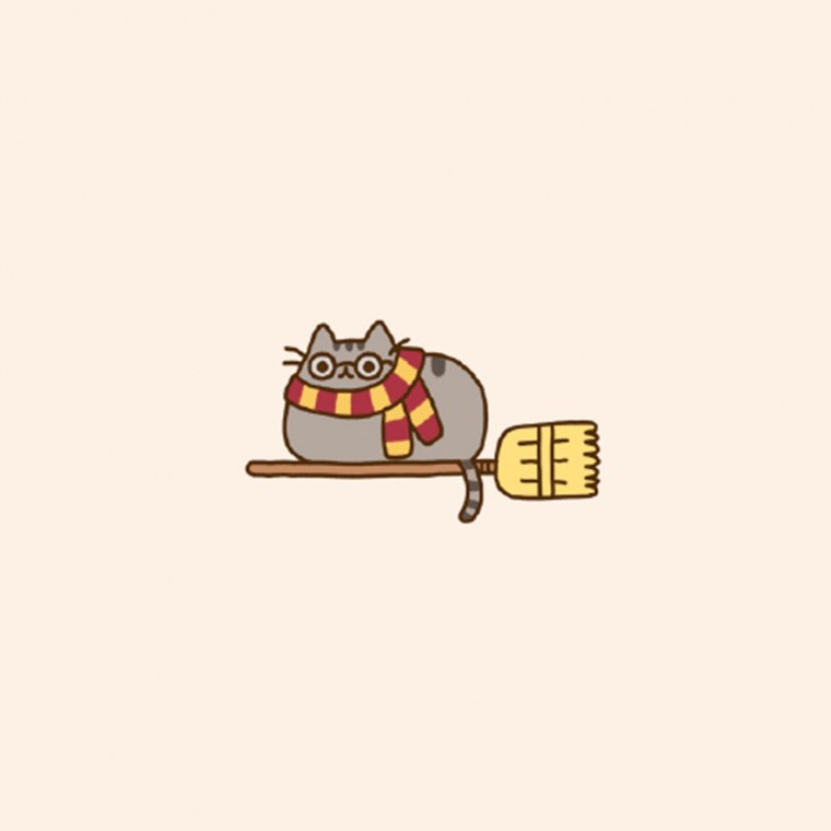Pusheen Гарри Поттер