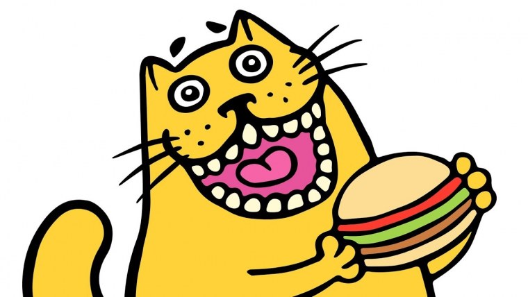 Котик ест бургер