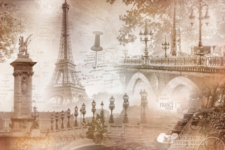 Фон Франция 19 век