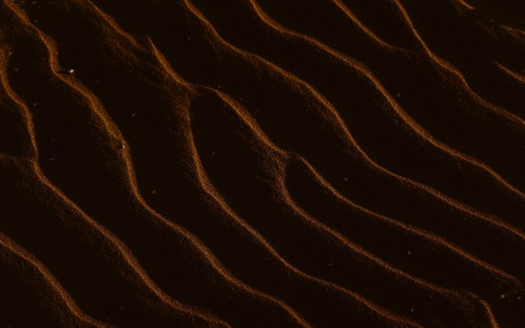 Морская звезда Минимализм