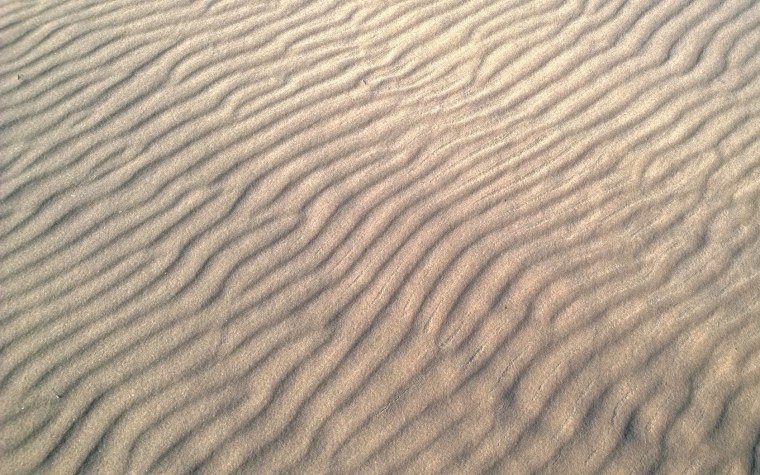 Фон ракушки