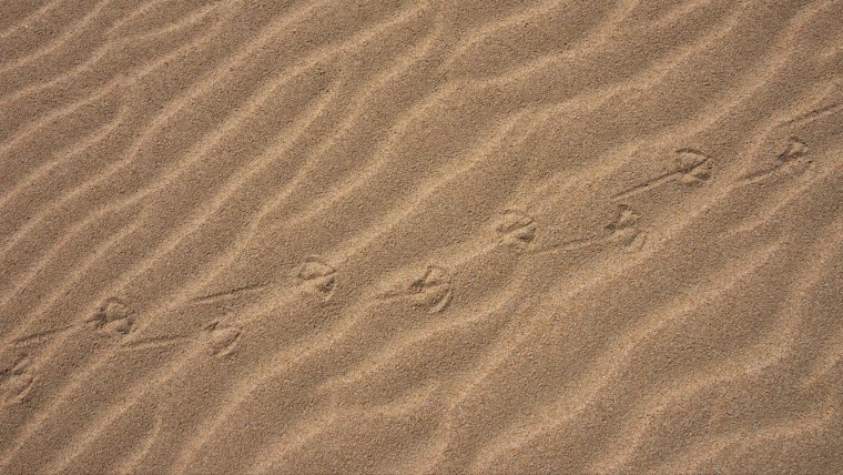 Текстура песка бесшовная