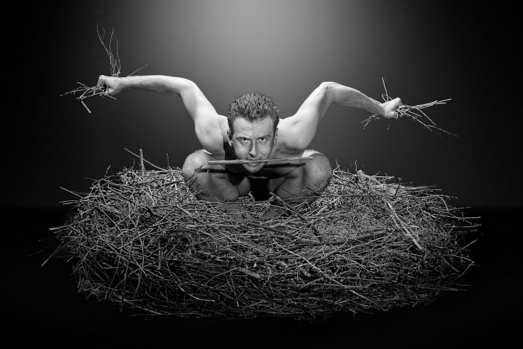 Кристоф ламоурет Meathook Seed