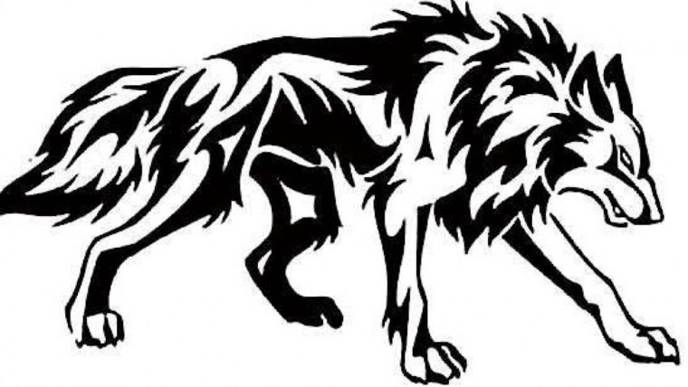 Векторное изображение волка