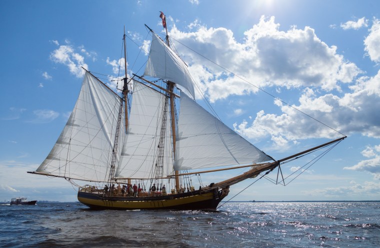 Мapceльнaя шxунa "лeди л"