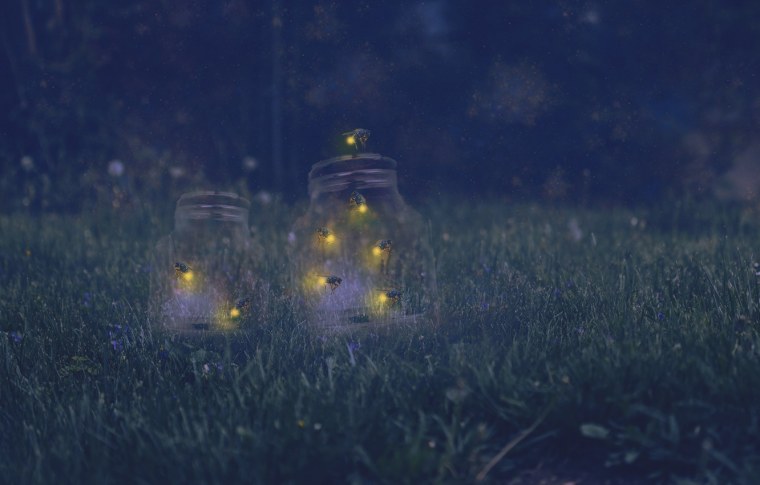 Фонарь со светлячками