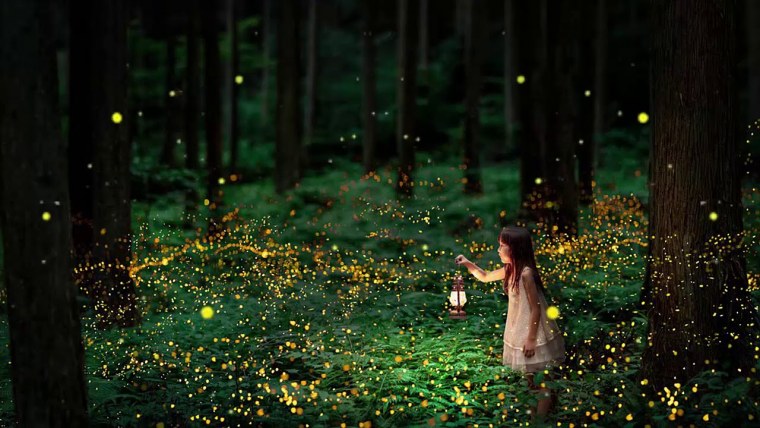 Светлячки в ночном лесу