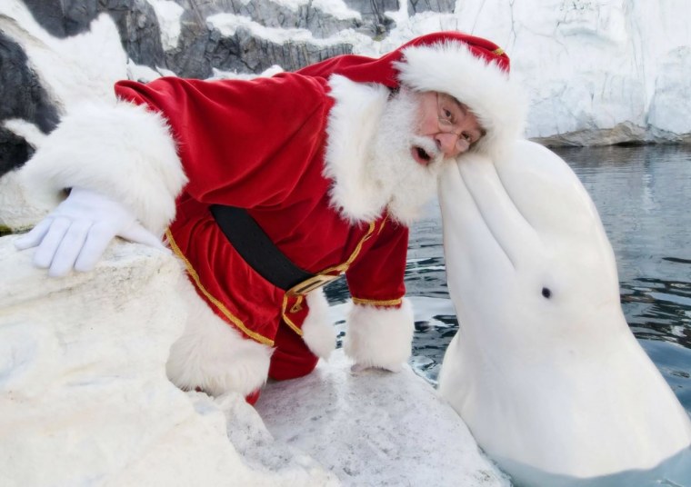 Путин в костюме Деда Мороза