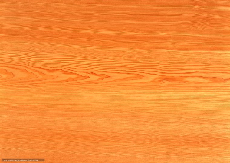 Агатис древесина