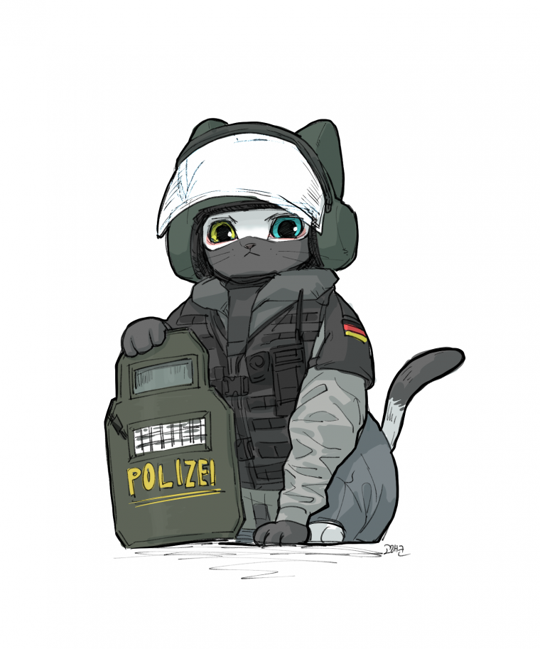 Rainbow Six Siege котики
