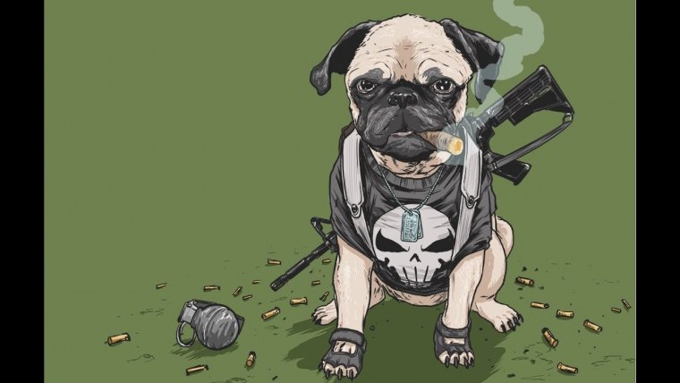 Мопс с оружием