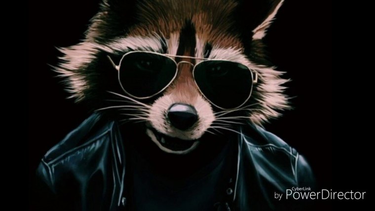 Енот в очках