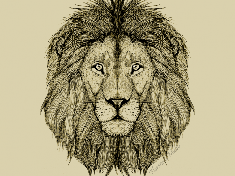 Голова Льва
