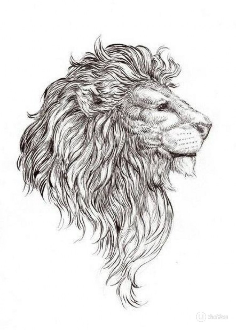 Тату эскизы мужские Лев