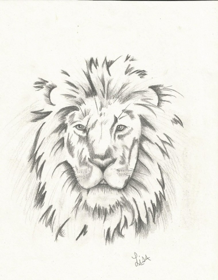 Голова Льва рисунок