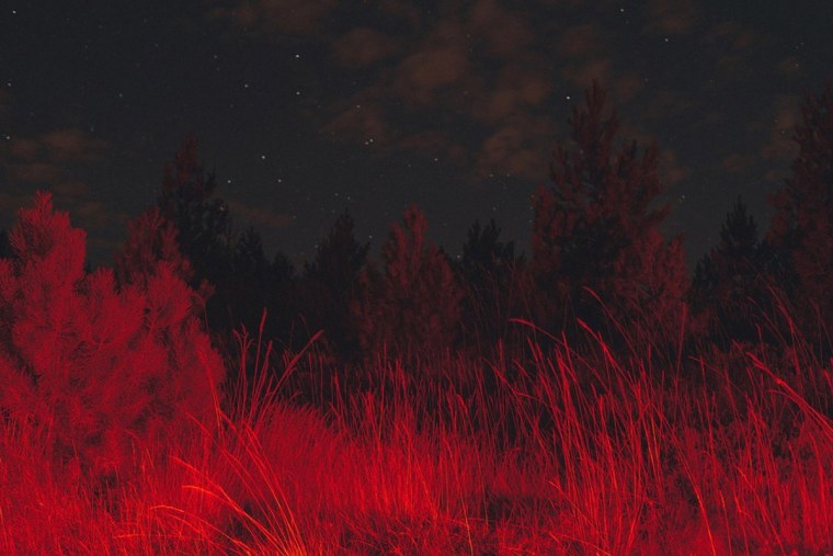 Эстетика нежно красного