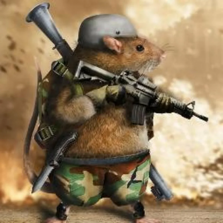 Хомяк в военной форме