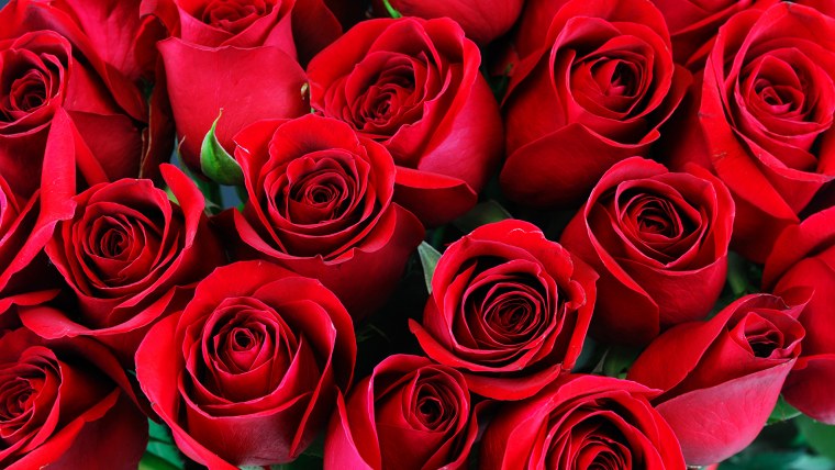 Букет алых роз