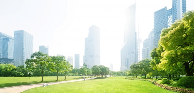 Город в зелени