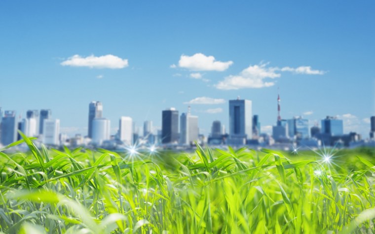 Экологический фон