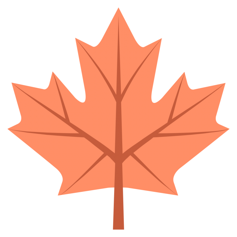 Симметрия листьев