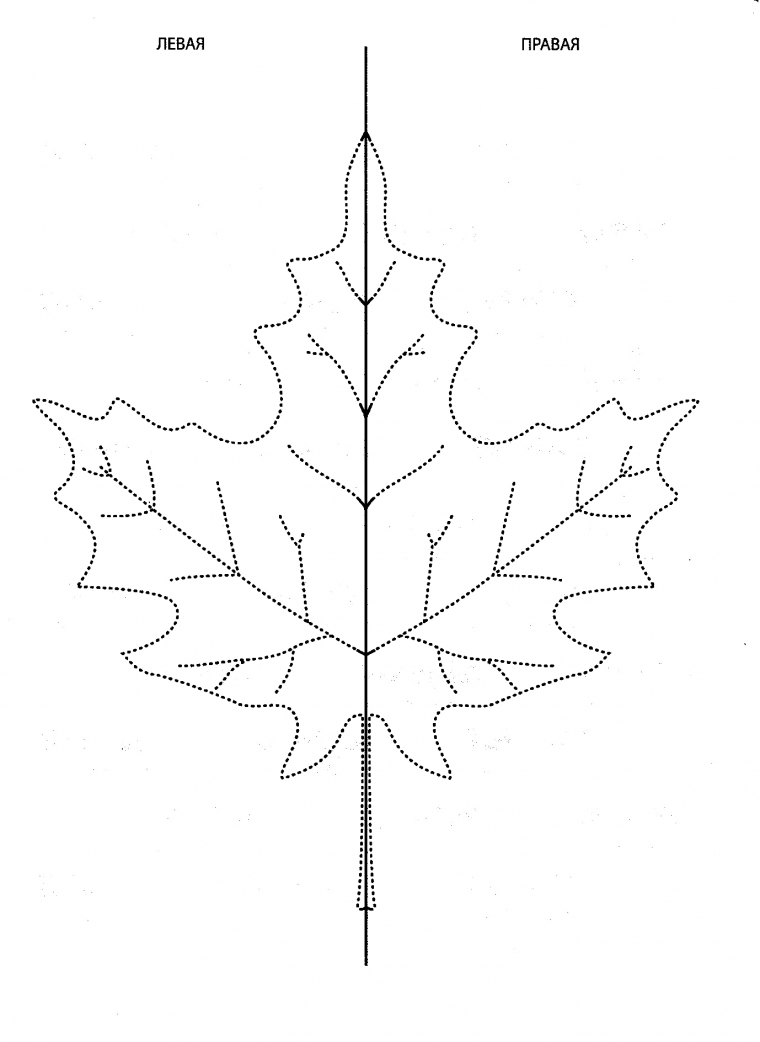 Rkbyjdsq лист с прожилками