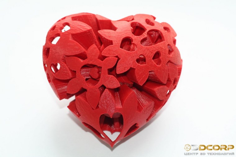 Сроки формирования сердца у плода