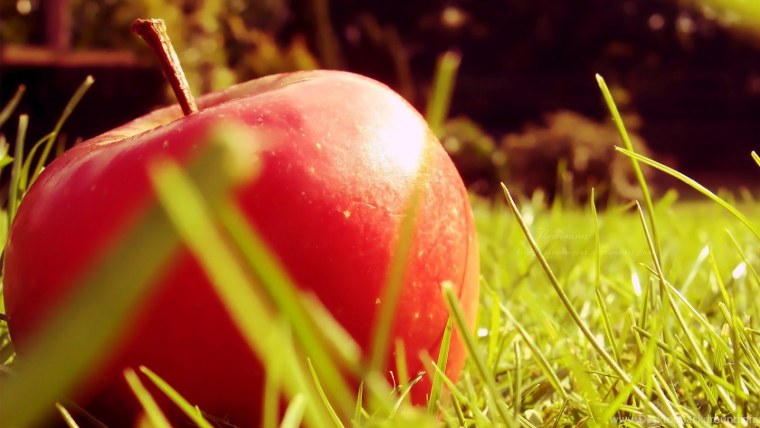 Яблоки на природе