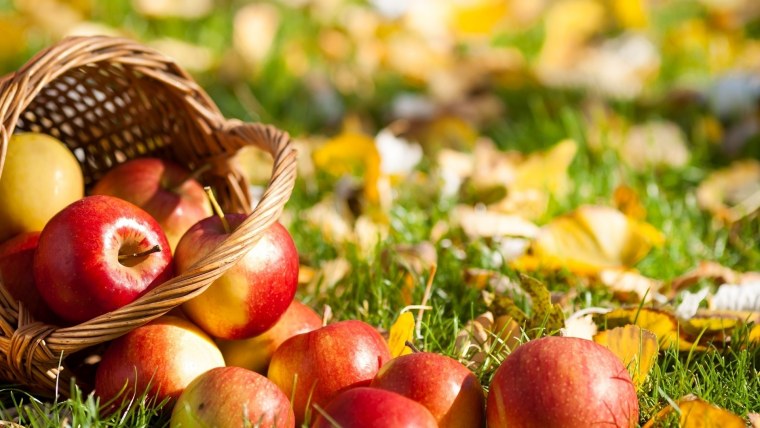 Осенние яблоки