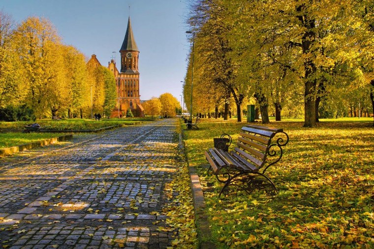 Золотая осень в Калининграде