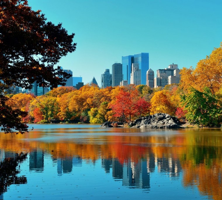 Центральный парк Нью-Йорк