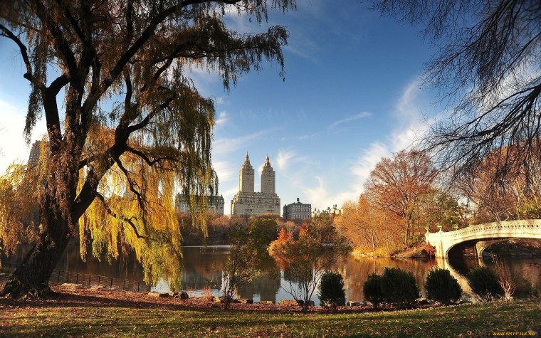 Осень в Нью-Йорке Центральный парк