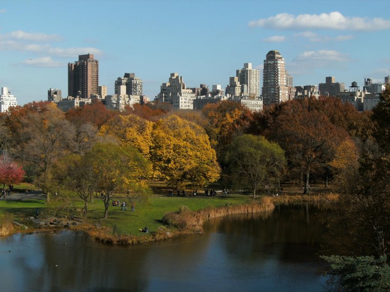 Америка природа город