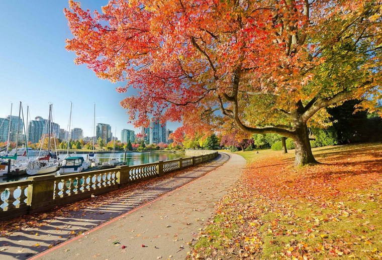 Парк в Нью-Йорке