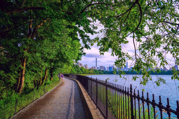 Фотографии природы и городов