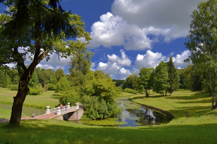 Природа Павловский парк летом