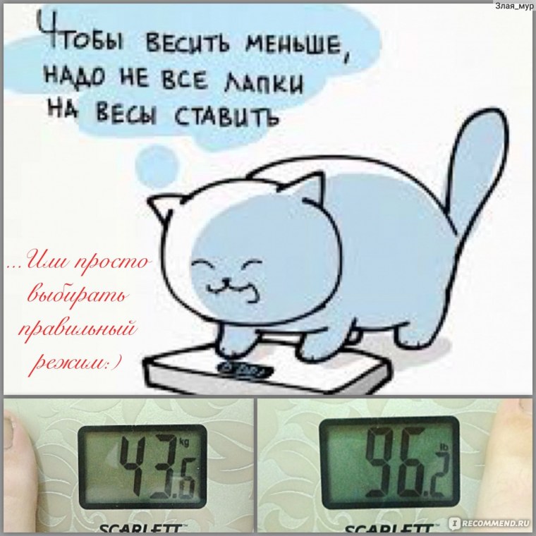 Юмор про вес
