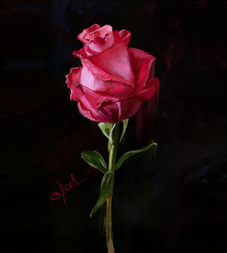 Букет розовых роз на черном фоне