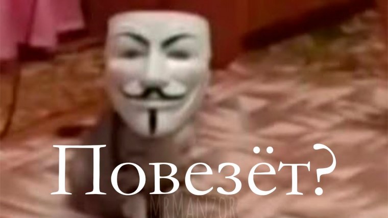 Повезло повезло кот анонимус