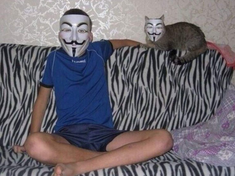 Кот в маске Анонимуса