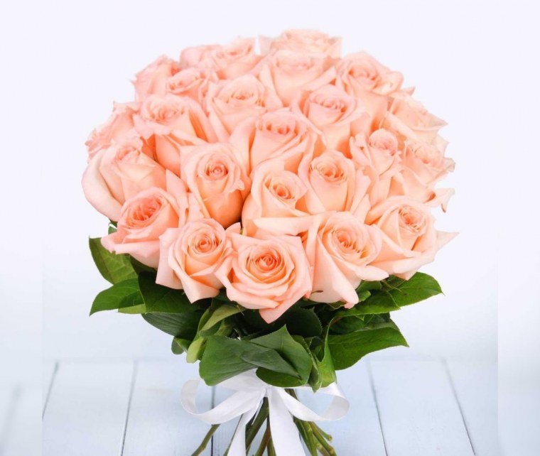 Роза Эквадор Ангажемент