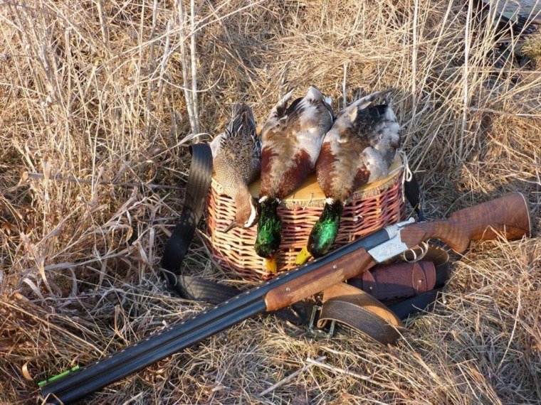 Весенняя охота на селезня с подсадной