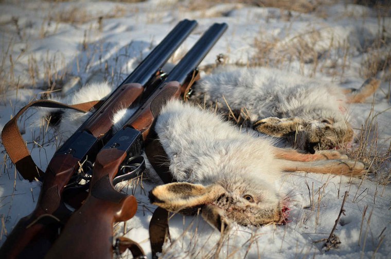 Охота зимой