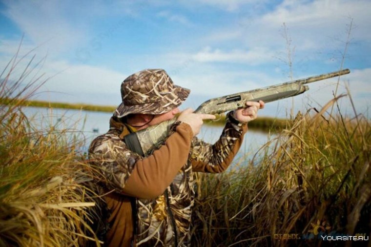 Охота в лесу