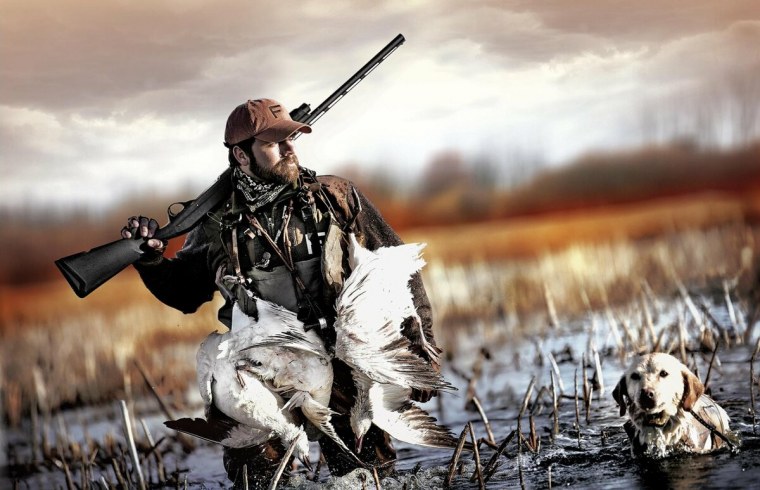 223 Ремингтон охота на боровую дичь